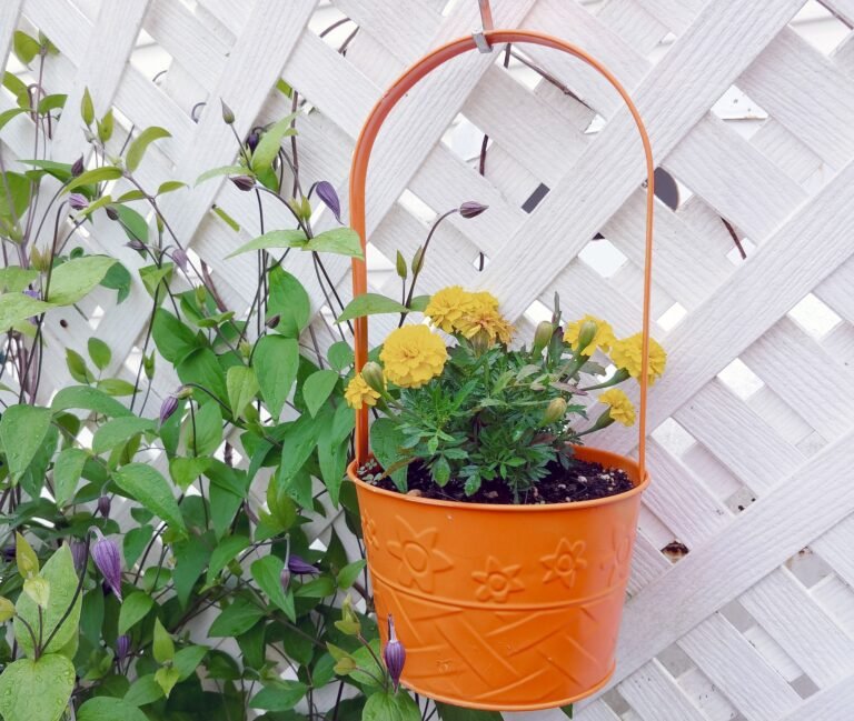 7 Low Budget DIY Décor Ideas to Liven Up Your Garden